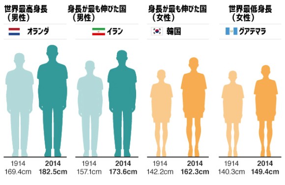 オランダ 女性 平均 身長