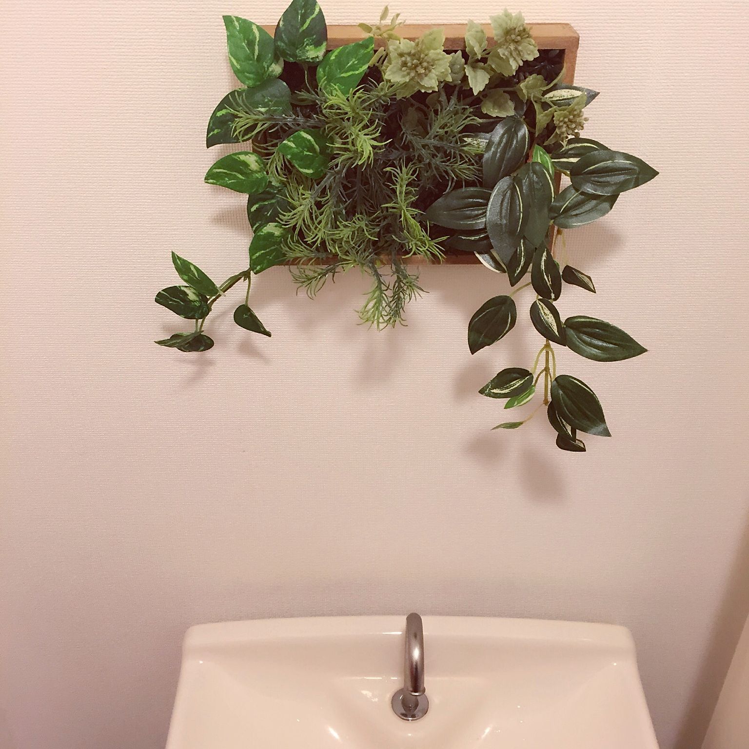 トイレ に 置く 観葉 植物