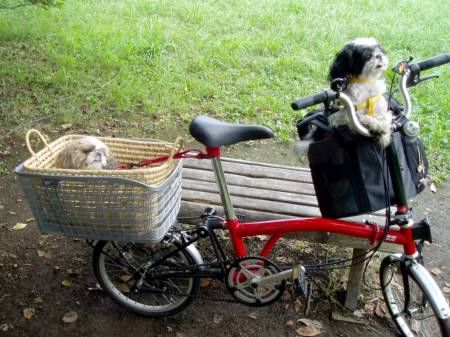 ペット 用 自転車