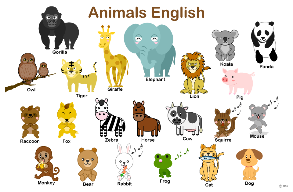 動物 種類 英語