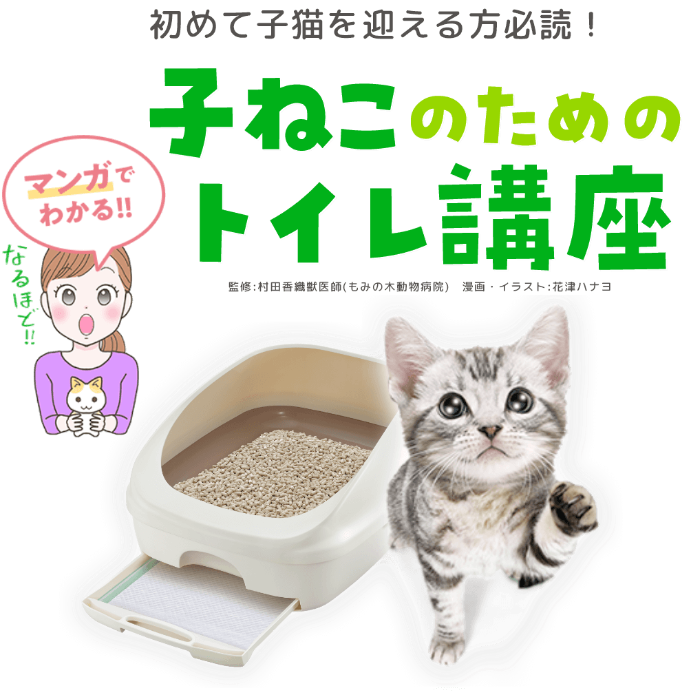 子猫 トイレ 頻度