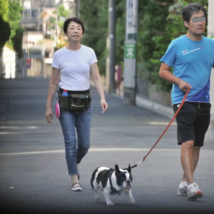 安藤 優子 犬 散歩
