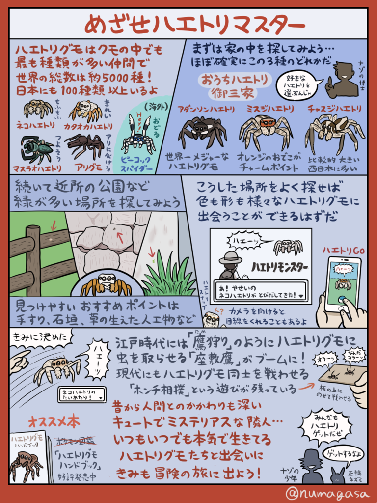 家 蜘蛛の種類