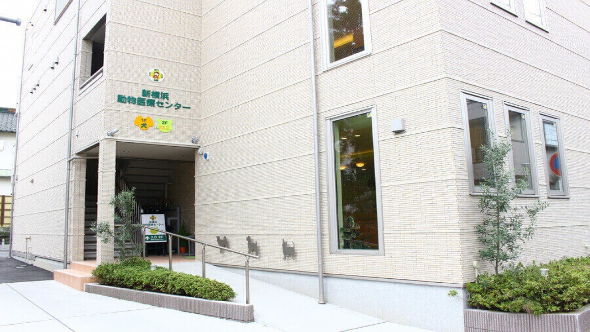 新横浜 動物 医療 センター