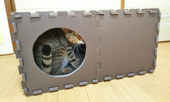 段ボール 猫 ハウス 作り方