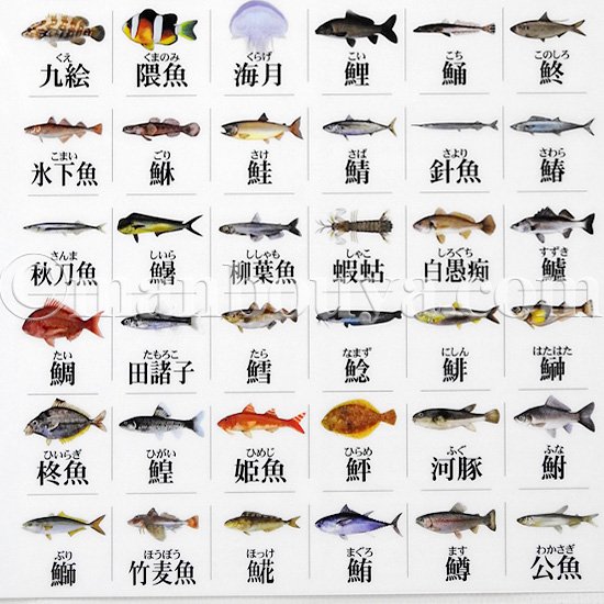 海 の 動物 漢字