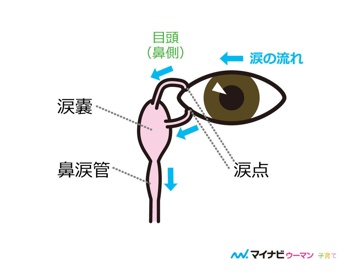 赤ちゃん 目 油 の 膜